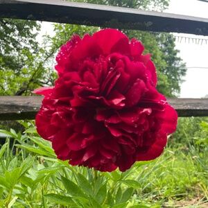 Meet your Posher, Jeri